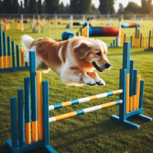 Hundesportplatz - Fördern Sie die Fitness und das Talent Ihres Hundes