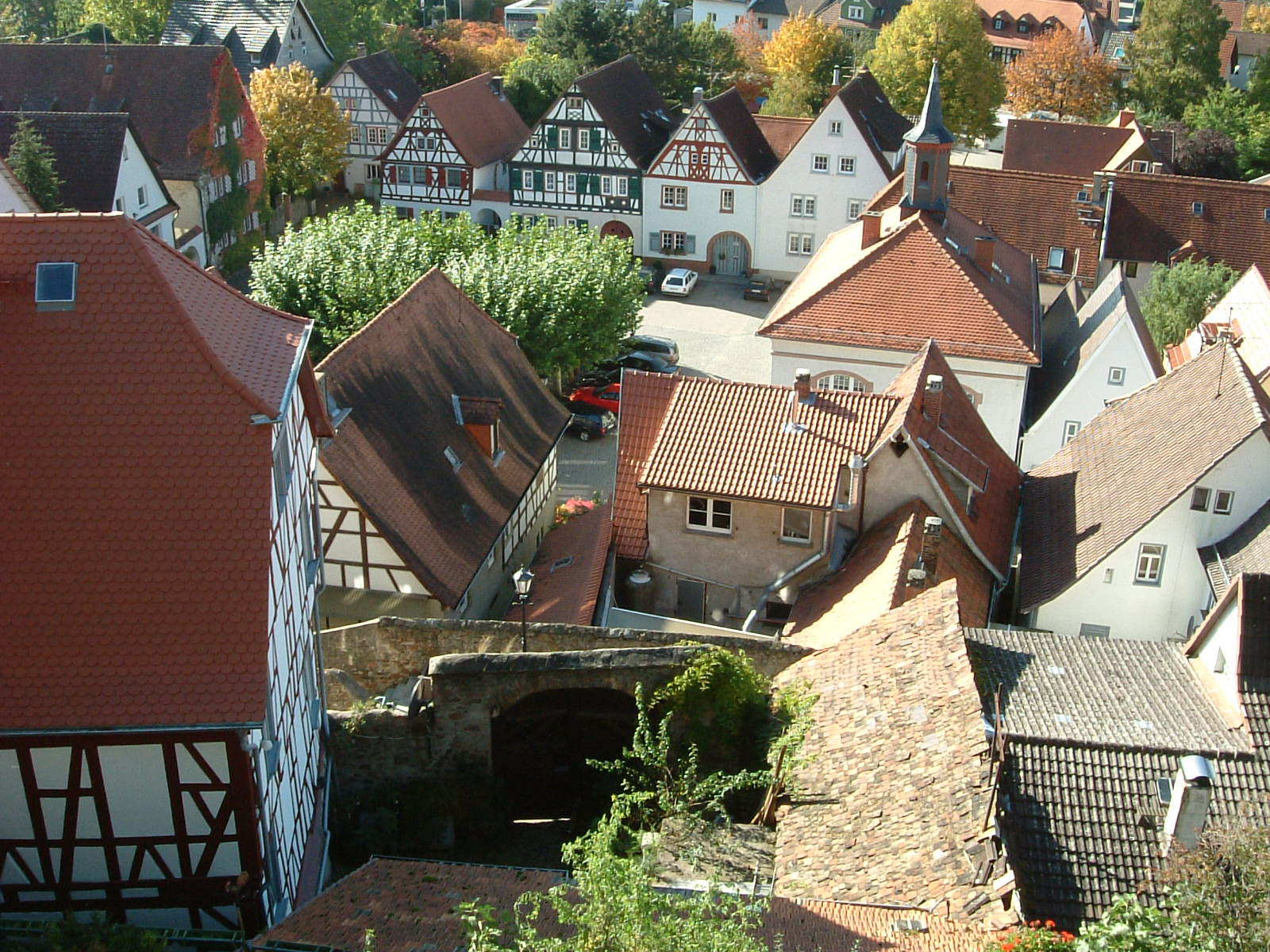 Zwingenberg01