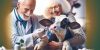 Die Kunst der Tierzucht: Zwischen Tradition und Innovation